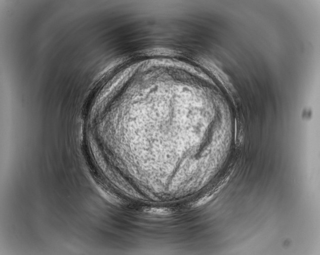 X0000099290157200805231328