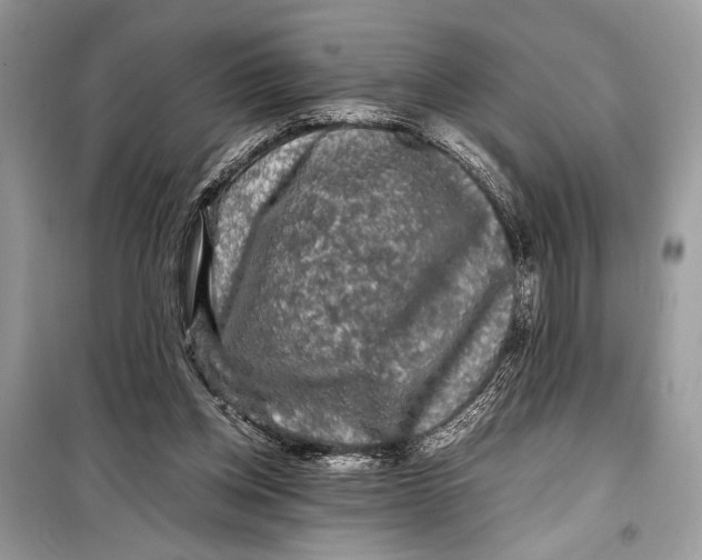 X0000099290158200805231328