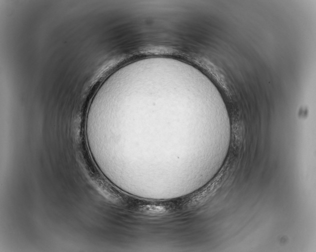 X0000099290159200805231328