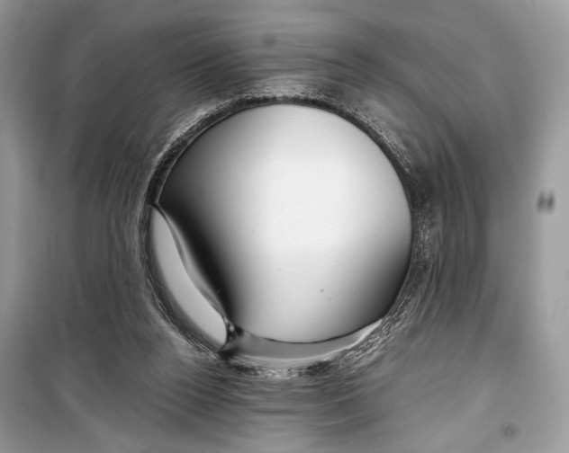 X0000099290160200805231328