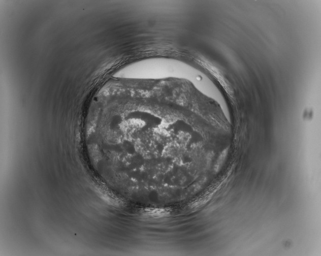 X0000099290161200805231328