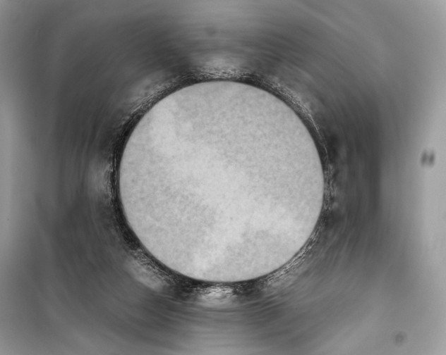 X0000099290162200805231328