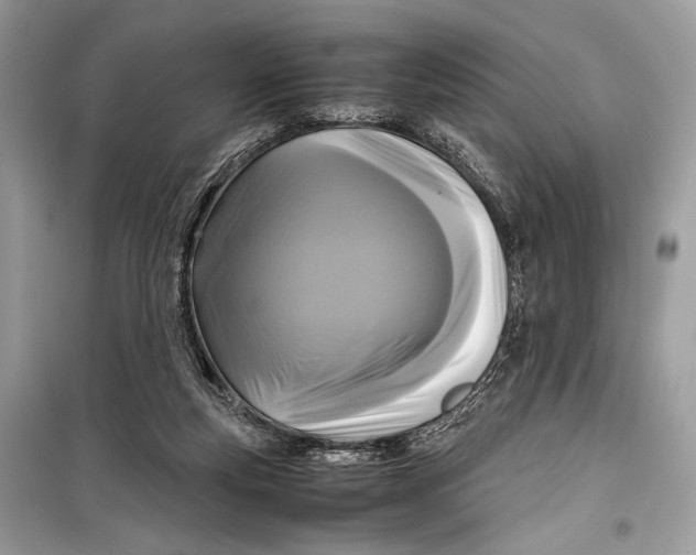 X0000099290163200805231328