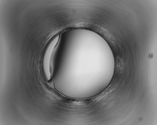 X0000099290164200805231328