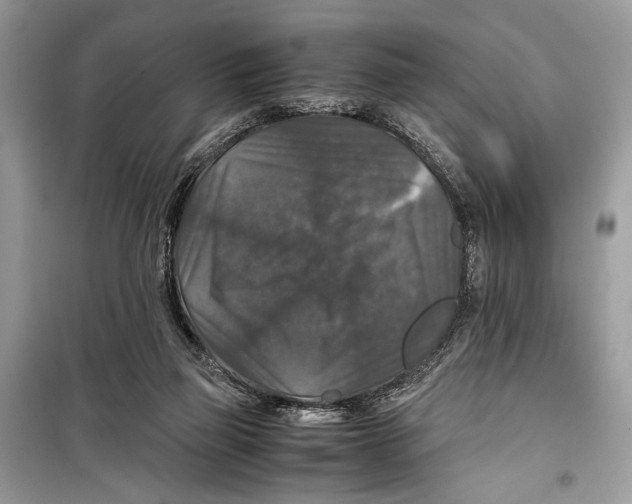 X0000099290165200805231328