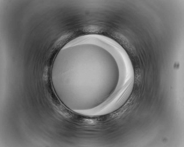 X0000099290167200805231328