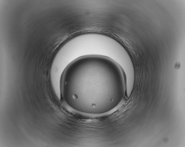 X0000099290168200805231328