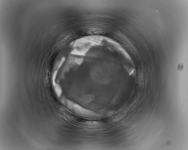 X0000099290169200805231328