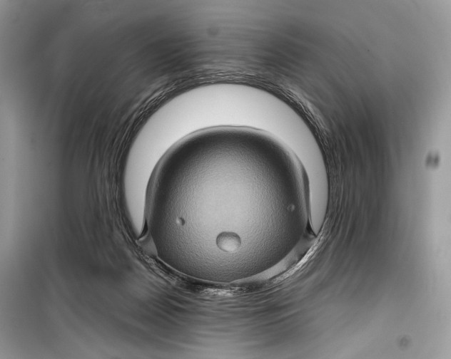 X0000099290170200805231328