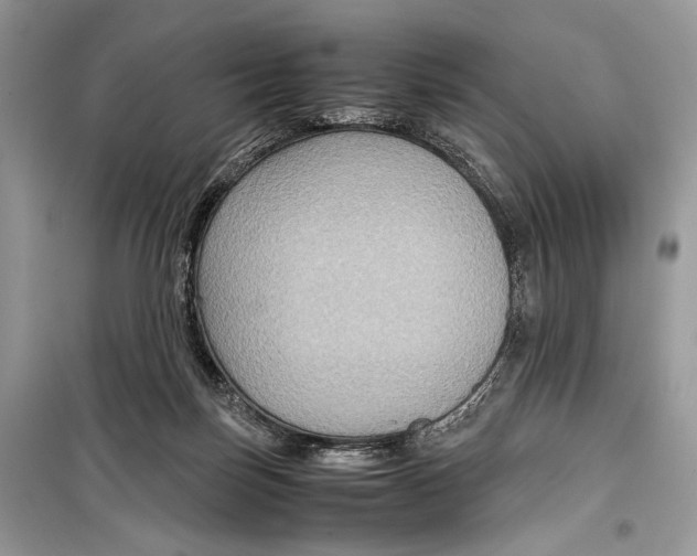 X0000099290171200805231328