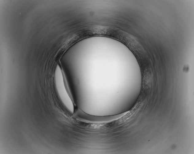 X0000099290172200805231328