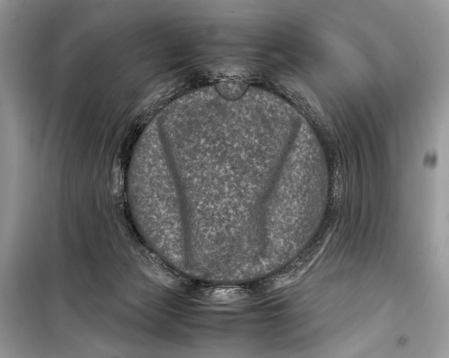 X0000099290173200805231328