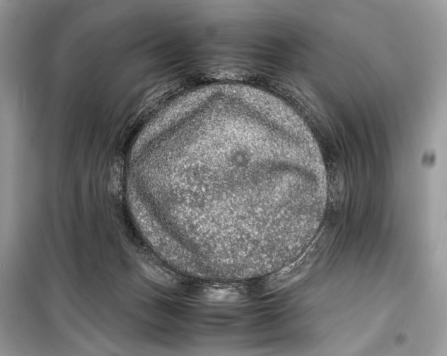 X0000099290175200805231328