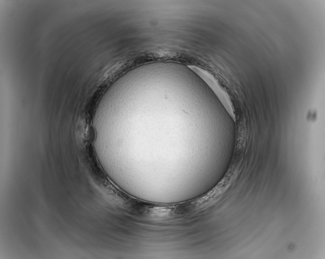 X0000099290176200805231328