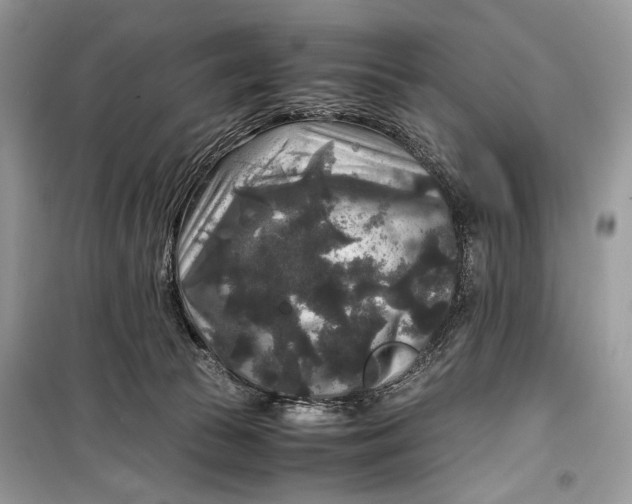 X0000099290177200805231328