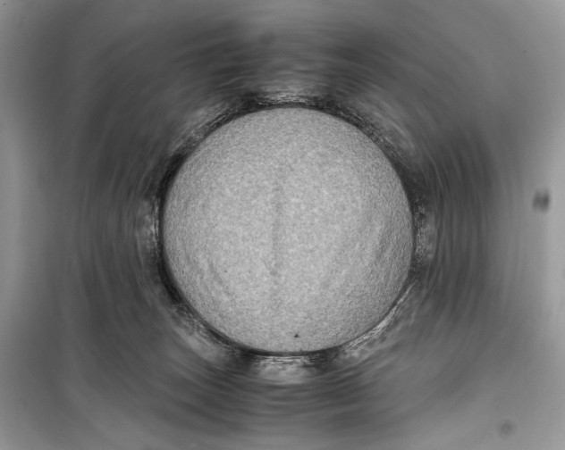 X0000099290179200805231328