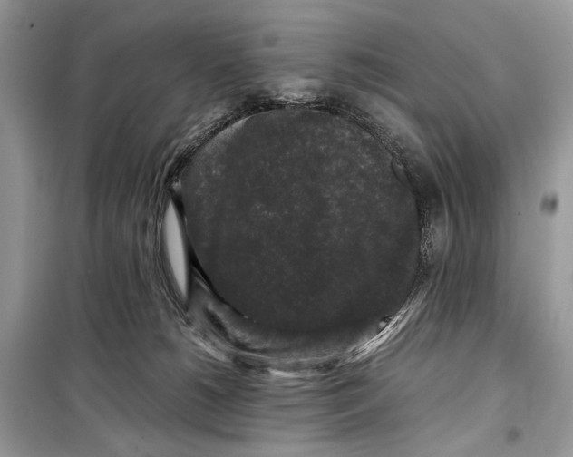 X0000099290180200805231328