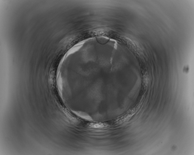 X0000099290181200805231328