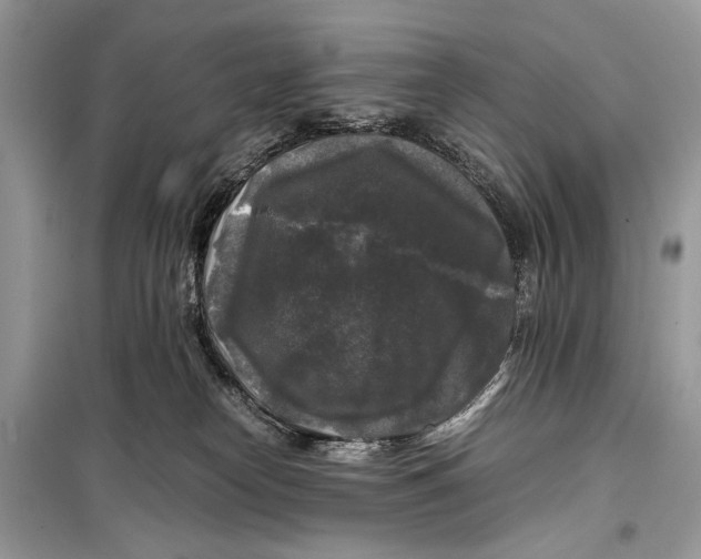 X0000099290182200805231328