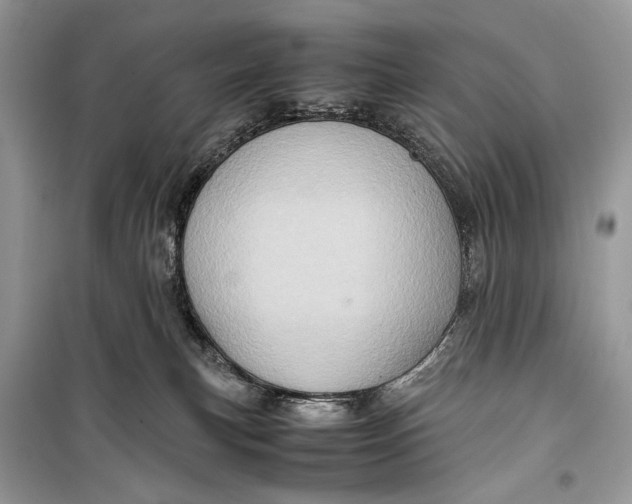 X0000099290183200805231328