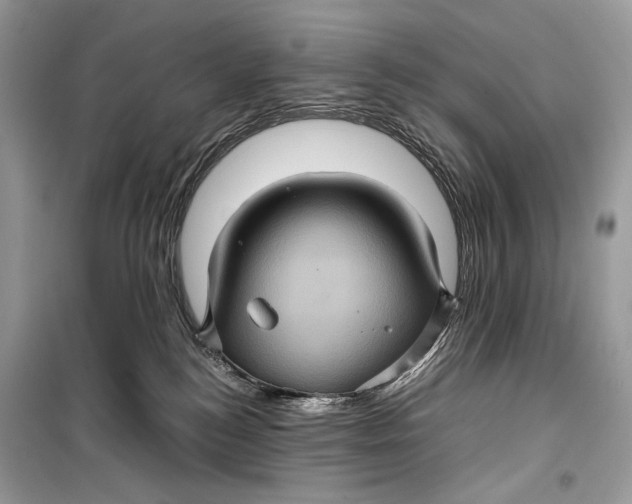 X0000099290184200805231328