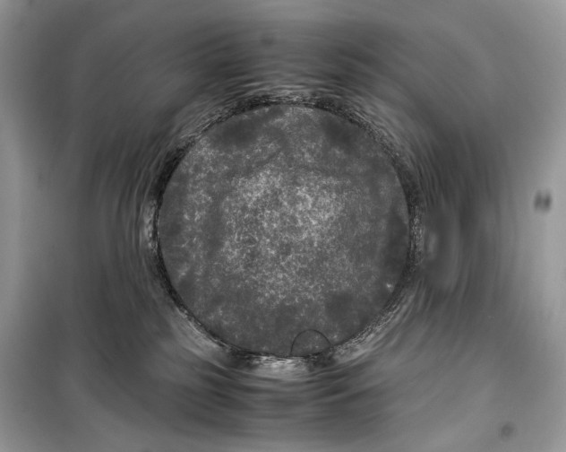 X0000099290185200805231328