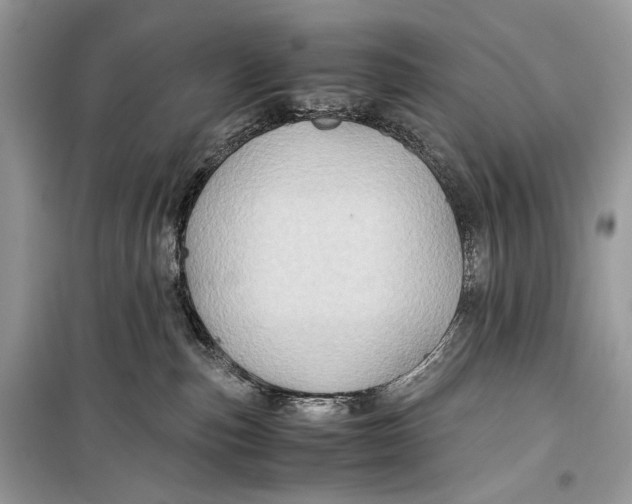 X0000099290187200805231328