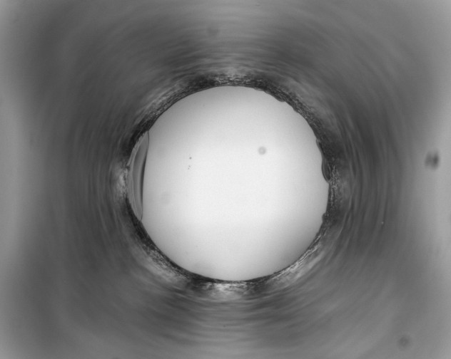 X0000099290188200805231328