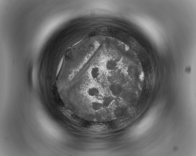 X0000099290189200805231328