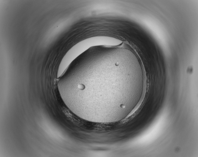 X0000099290190200805231328