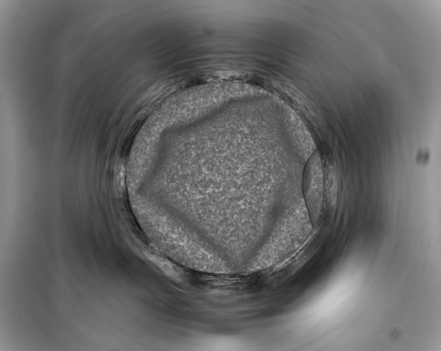 X0000099290191200805231328