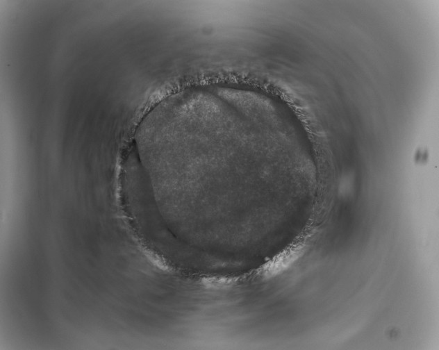 X0000099290192200805231328