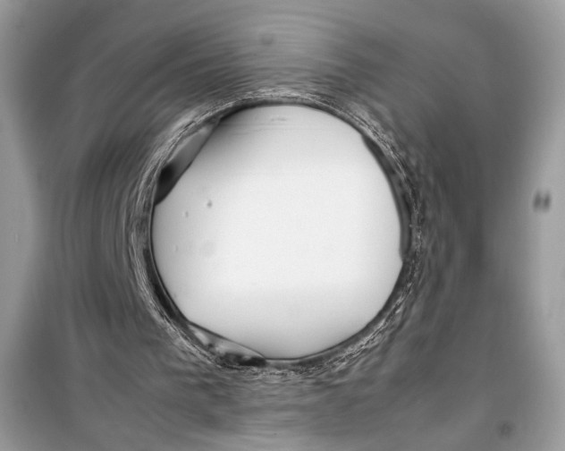 X0000099290193200805231328