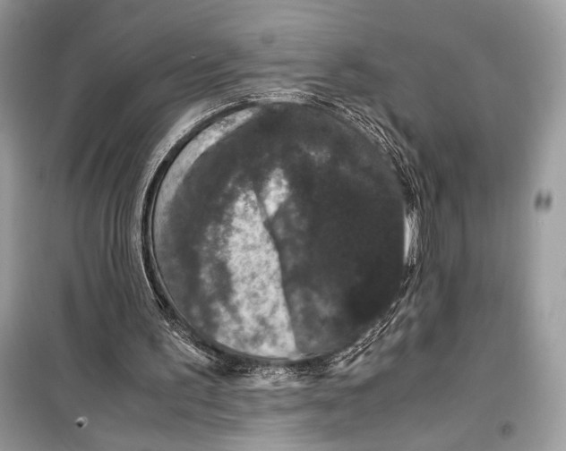 X0000099290195200805231328