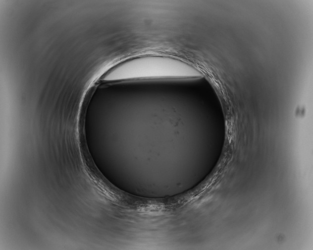 X0000099290196200805231328