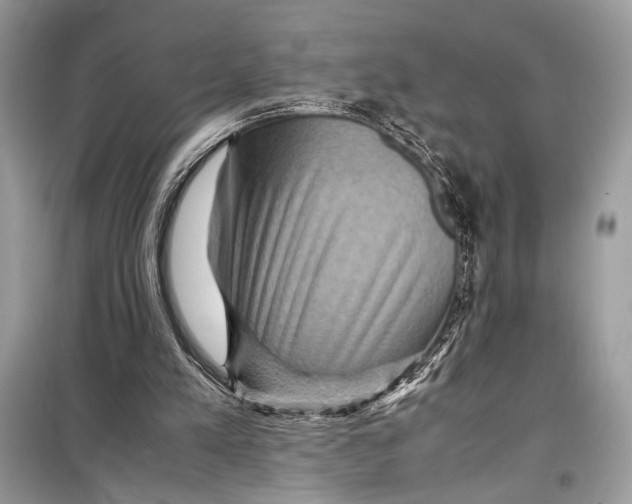 X0000099290197200805231328