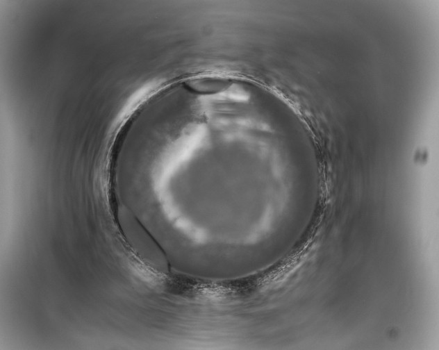 X0000099290199200805231328