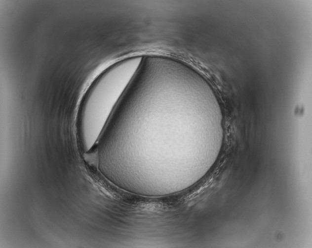 X0000099290200200805231328