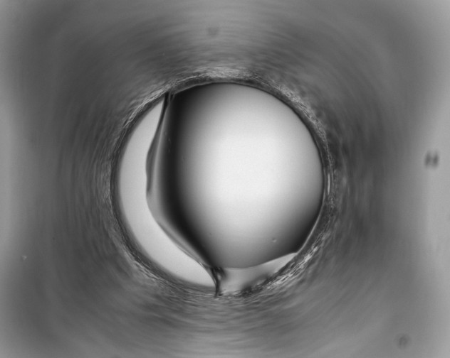 X0000099290201200805231328