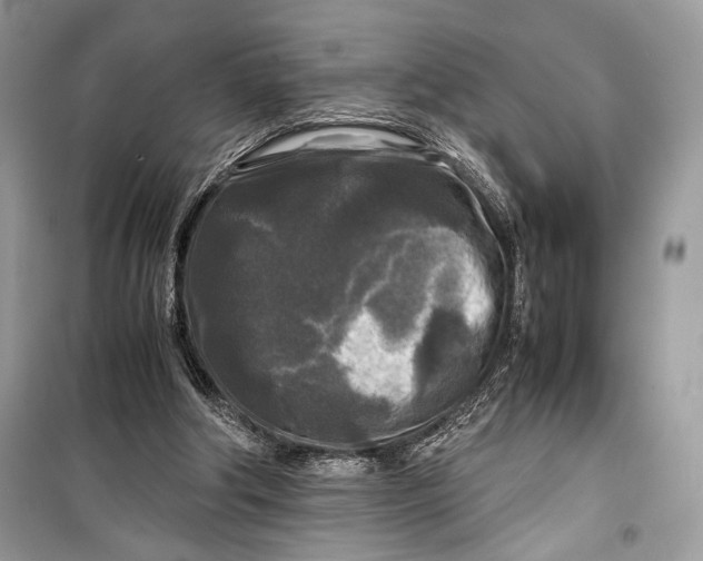 X0000099290202200805231328