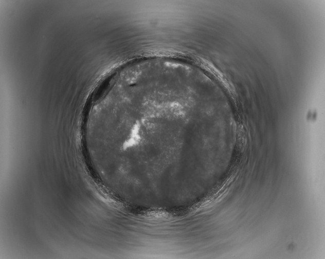 X0000099290203200805231328