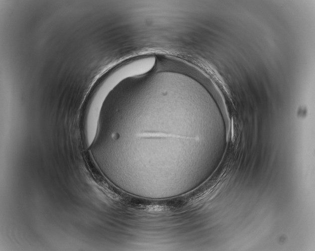 X0000099290204200805231328