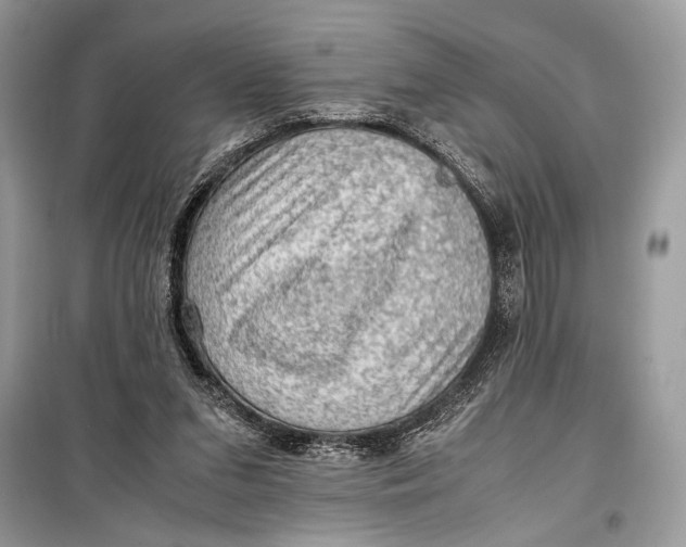 X0000099290207200805231328