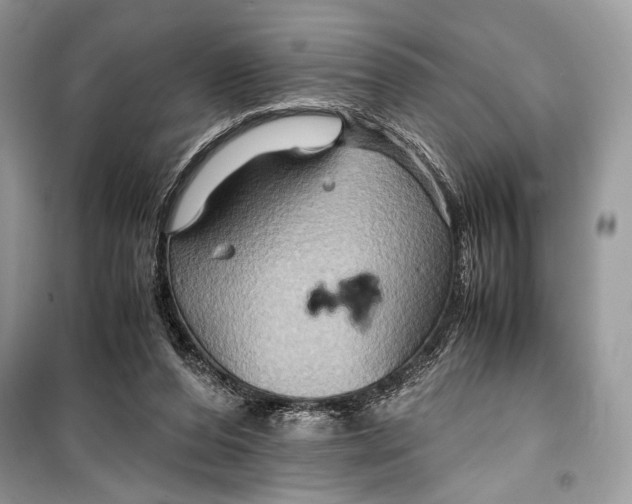 X0000099290208200805231328