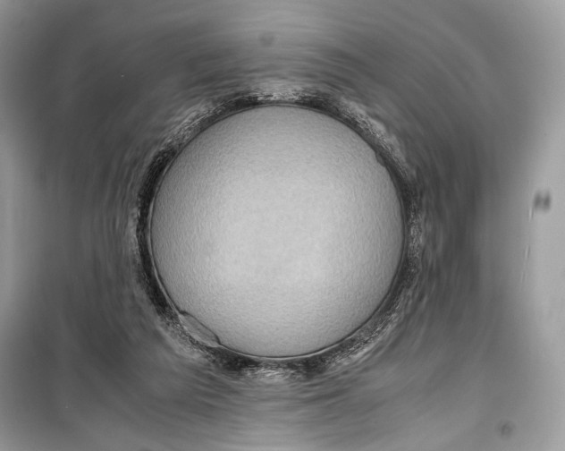 X0000099290209200805231328