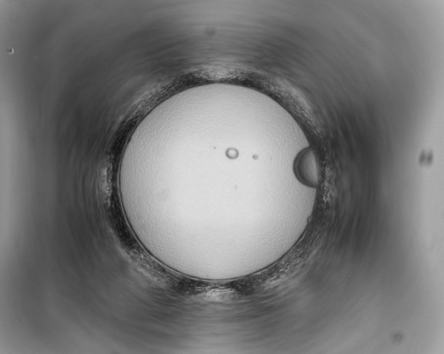 X0000099290210200805231327