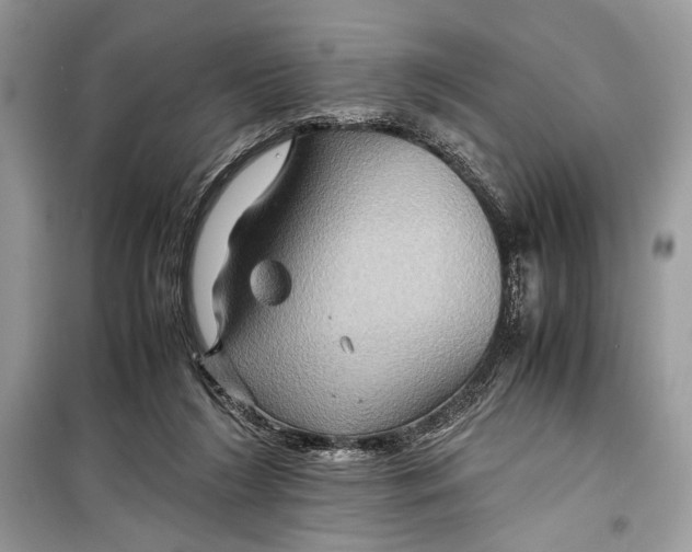 X0000099290212200805231327