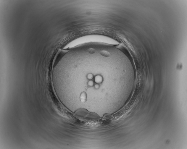 X0000099290213200805231327