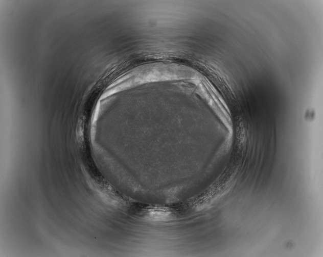 X0000099290214200805231327