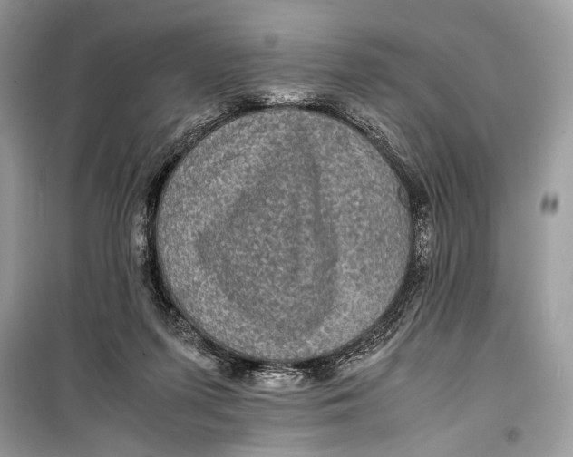 X0000099290215200805231327